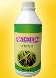 廣州以諾生物科技推出‘em種植寶’水稻專用產(chǎn)品，助力綠色農(nóng)業(yè)發(fā)展