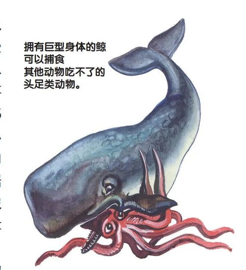 生存的桎梏與進化的鑰匙 環(huán)境如何塑造生命形態(tài)